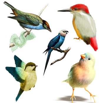 Три цвета QN11, милая цветная птичка, украшение для мобильного телефона, сумки для компьютера, ПВХ, самоклеящаяся водонепроницаемая бытовая техника, царапины